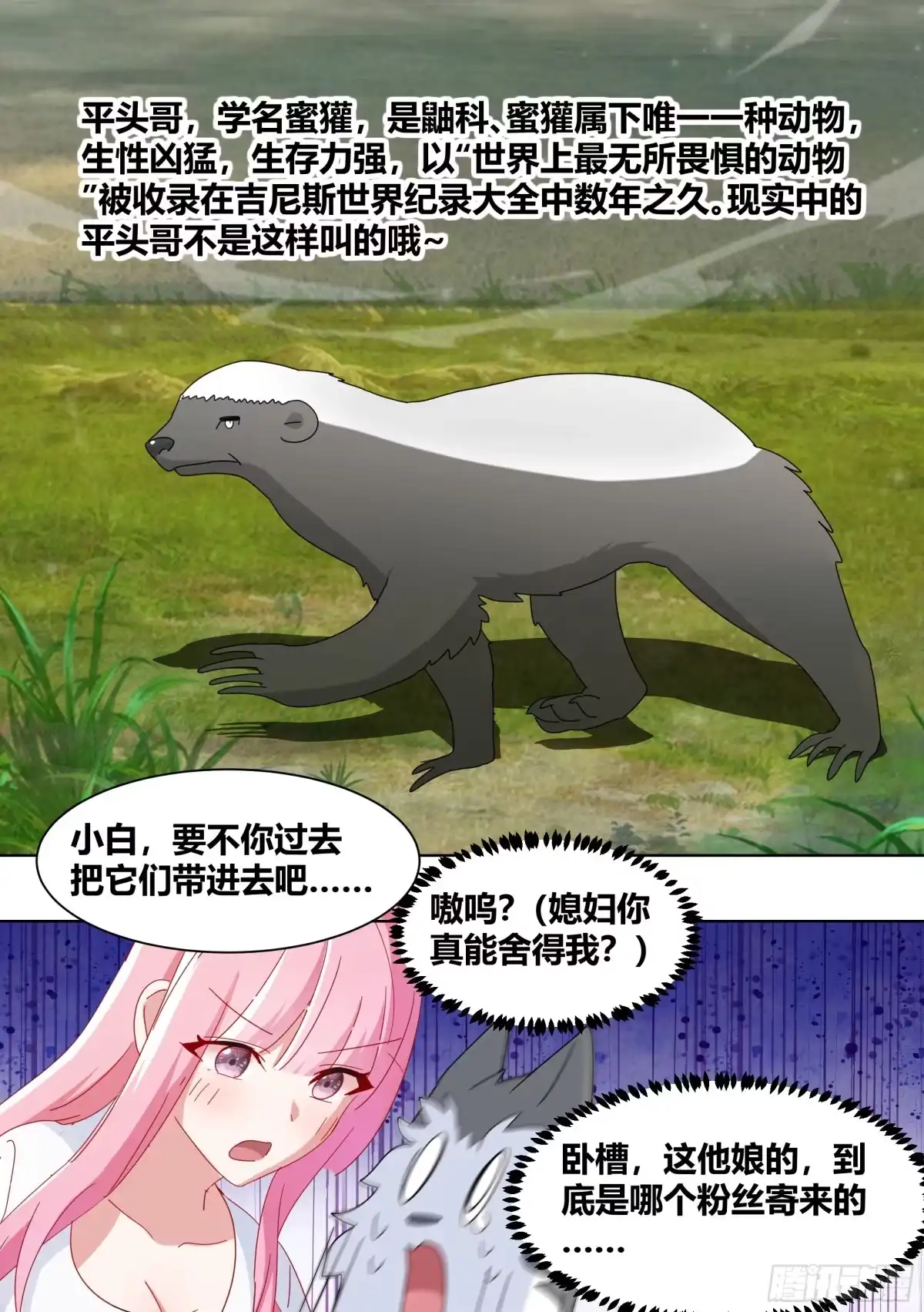 《直播：女神家的哈士奇天秀》265-新人培训 第5页