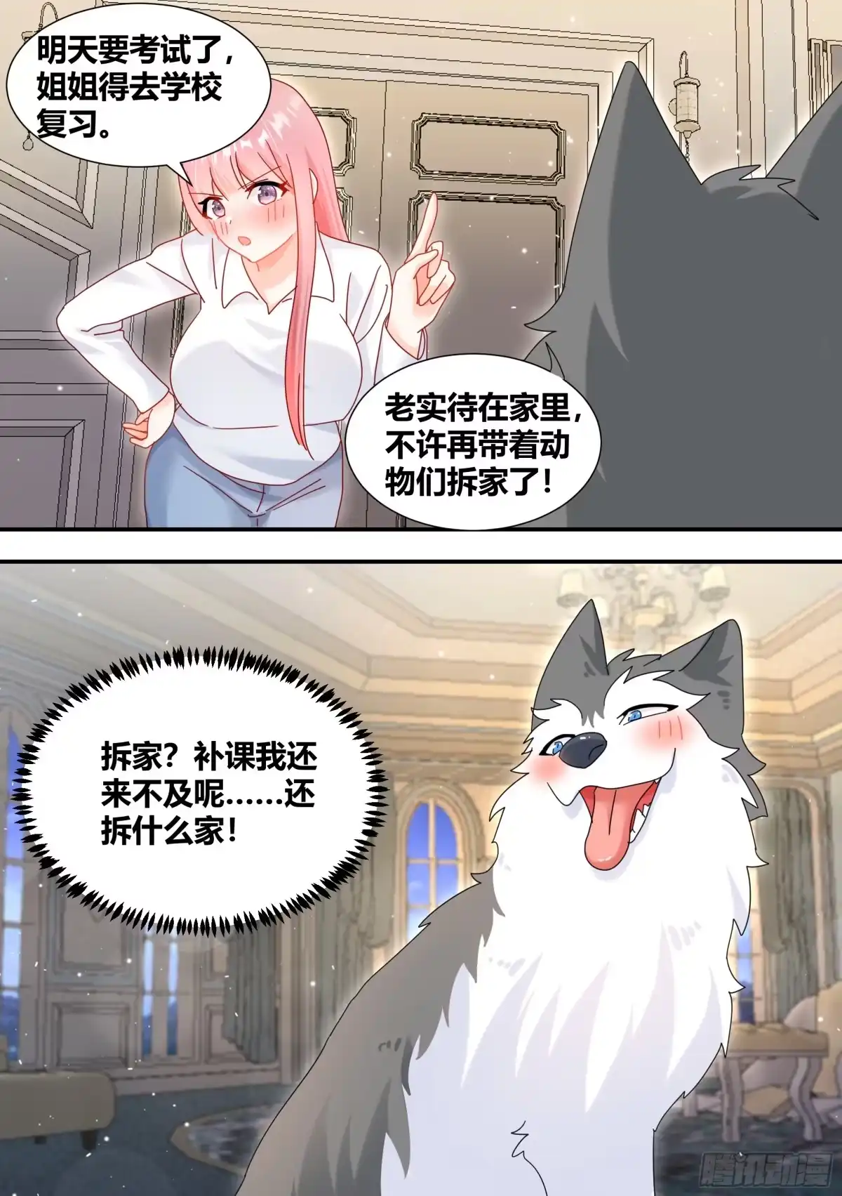《直播：女神家的哈士奇天秀》294-狗生美满 第4页