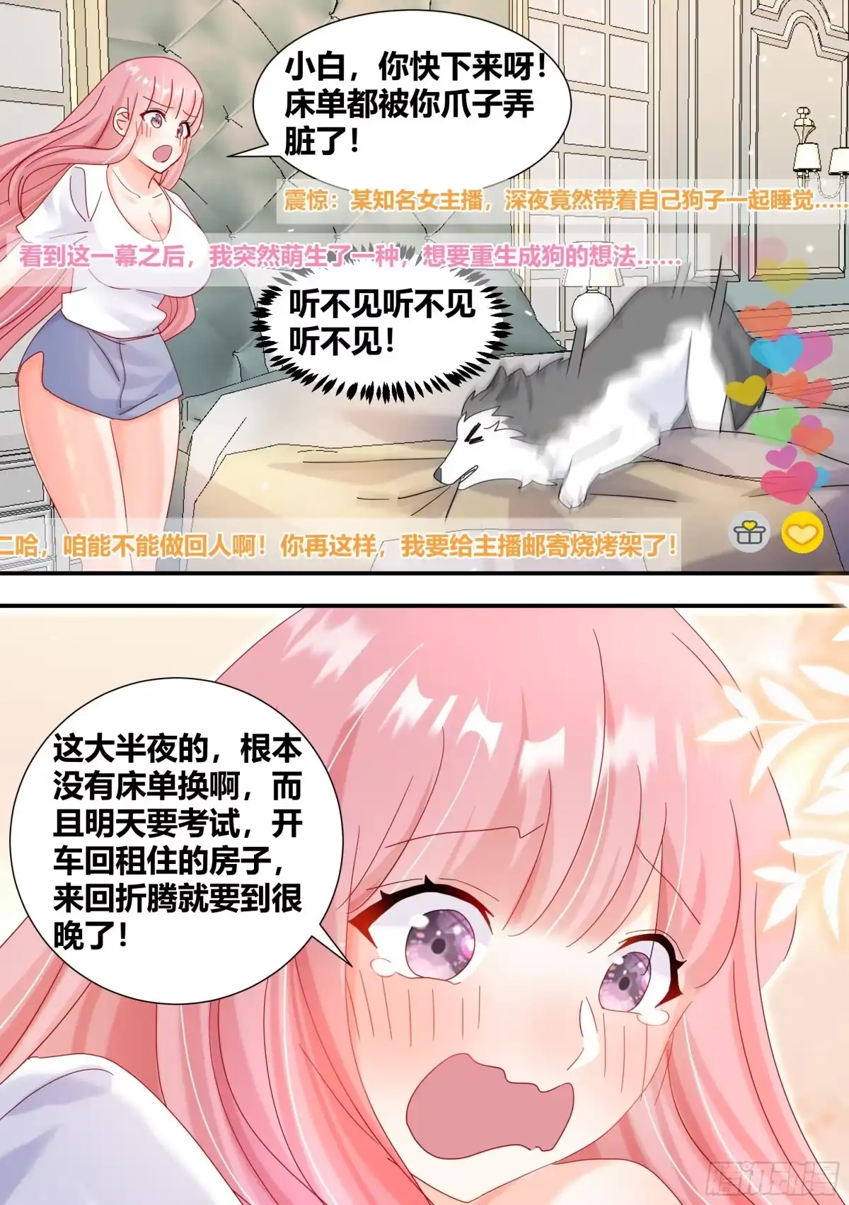 《直播：女神家的哈士奇天秀》296-哈士奇的选择 第11页