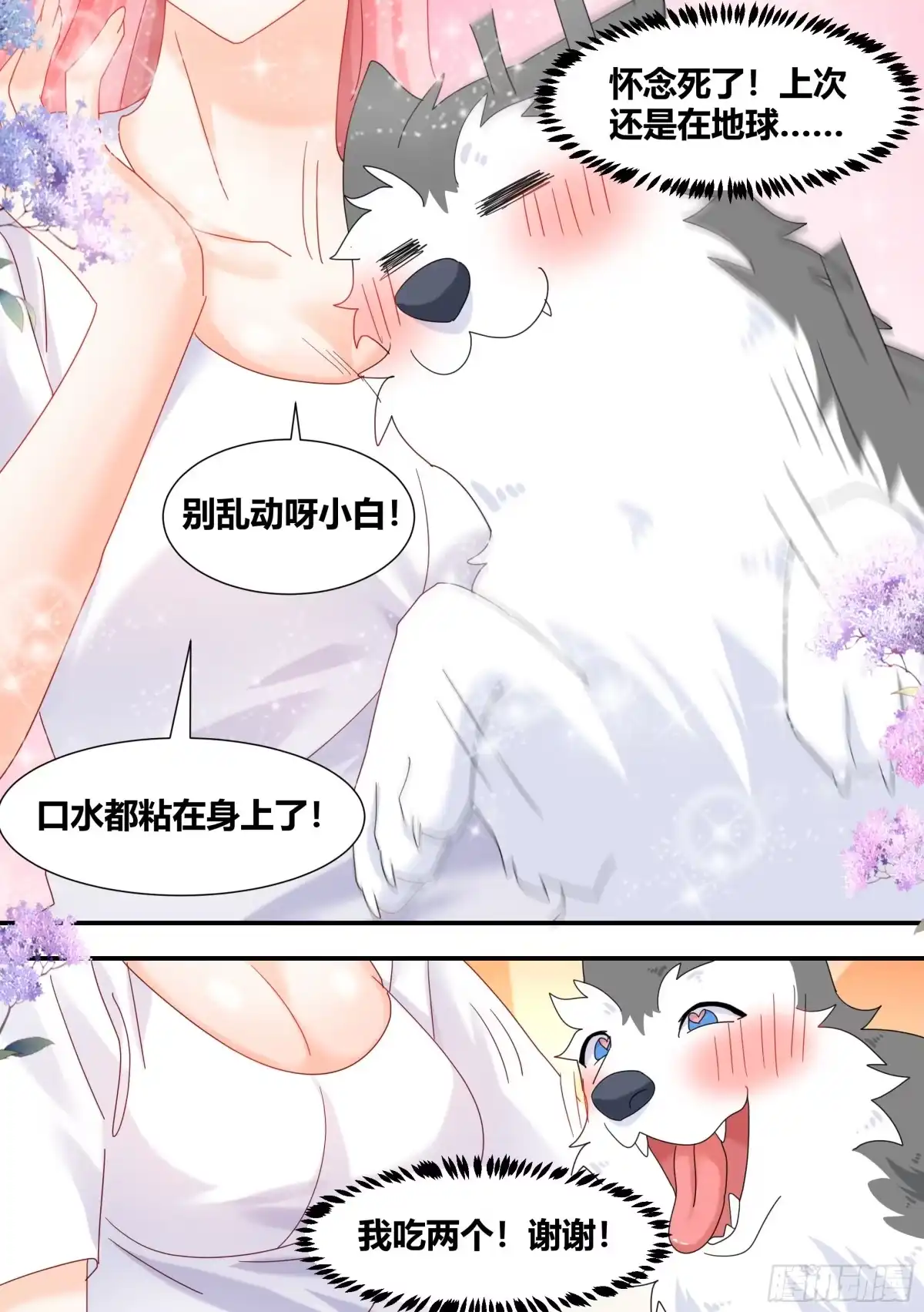 《直播：女神家的哈士奇天秀》297-第一 第3页