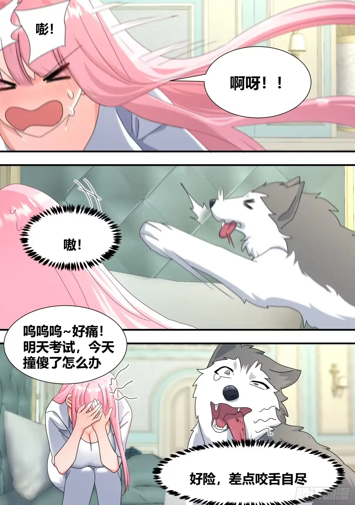 《直播：女神家的哈士奇天秀》297-第一 第5页