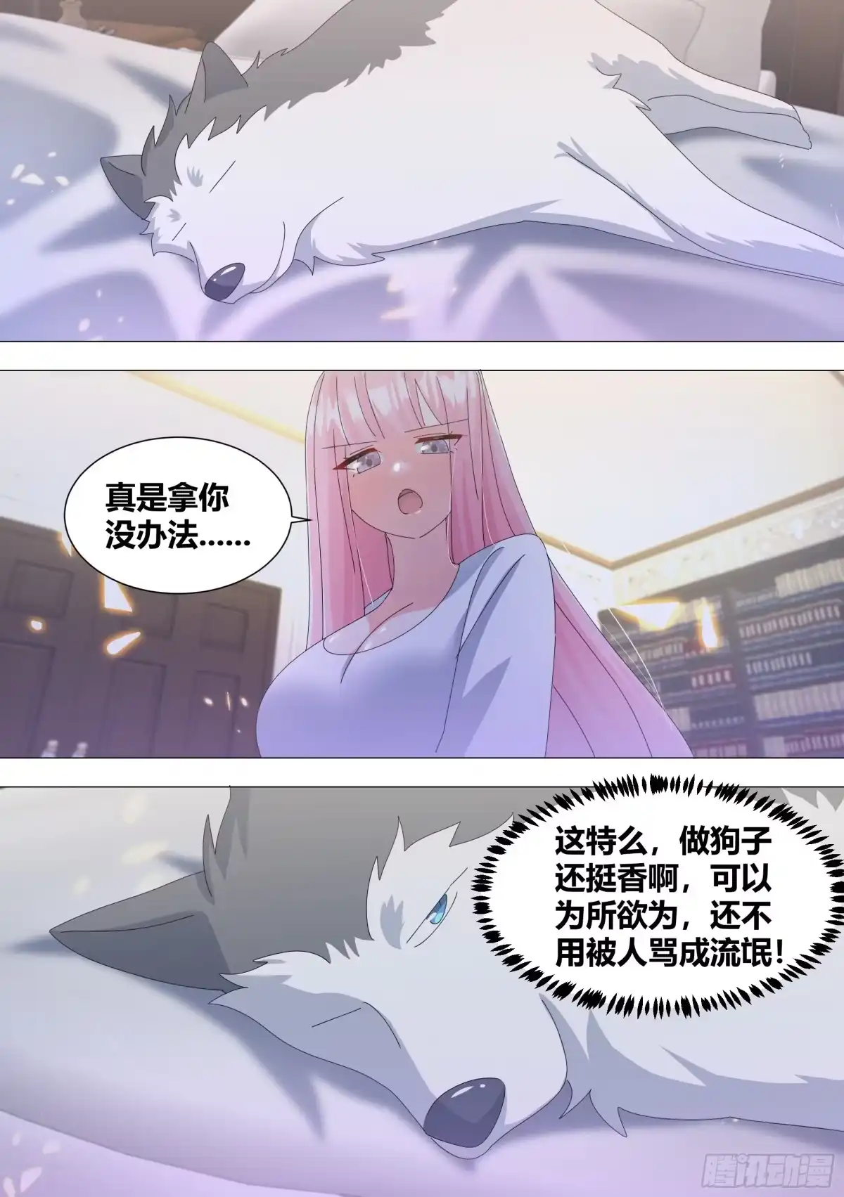 《直播：女神家的哈士奇天秀》338-毛都掉了？ 第2页