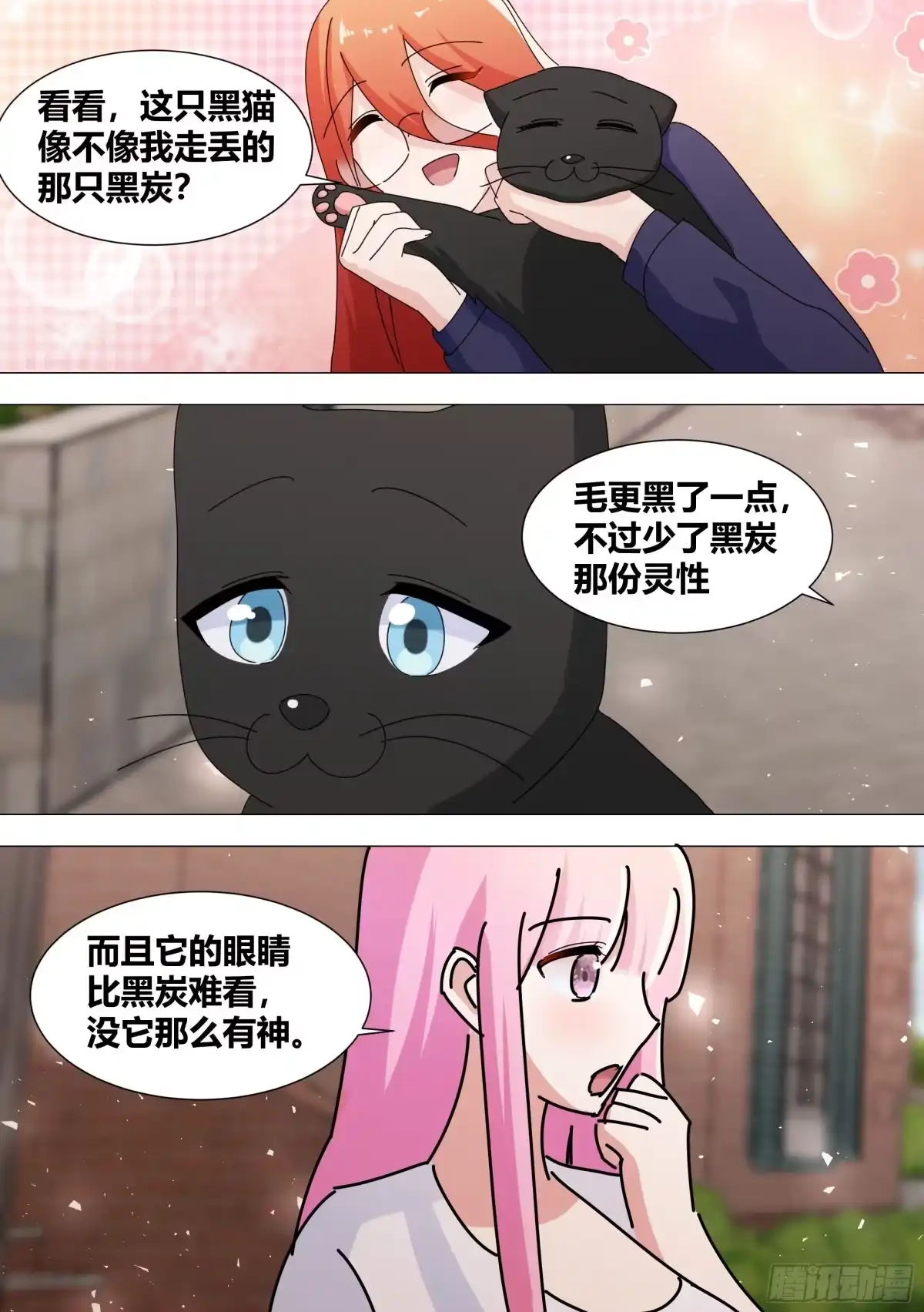 《直播：女神家的哈士奇天秀》368-喵喵喵 第13页