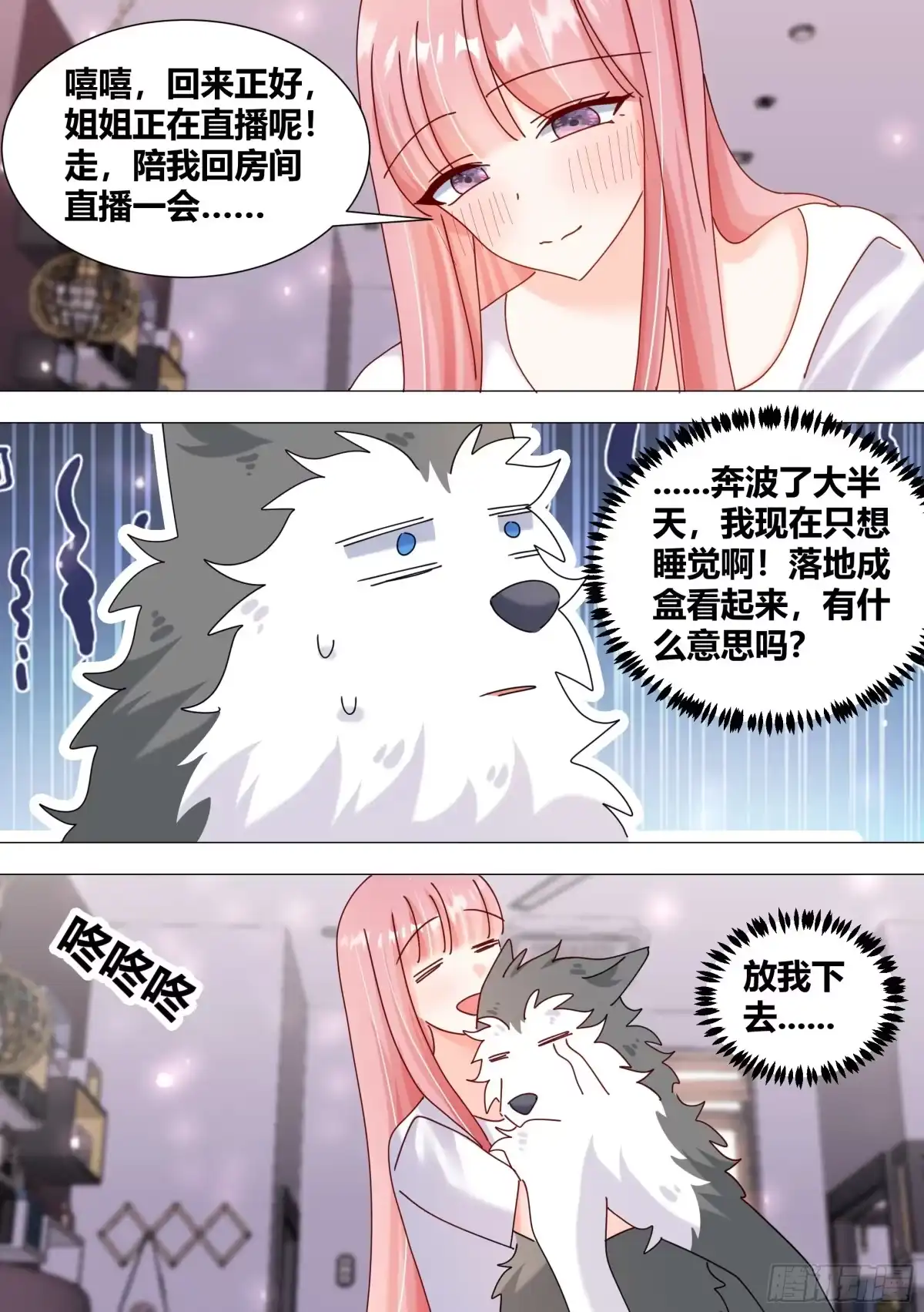 《直播：女神家的哈士奇天秀》385-回来正好 第7页