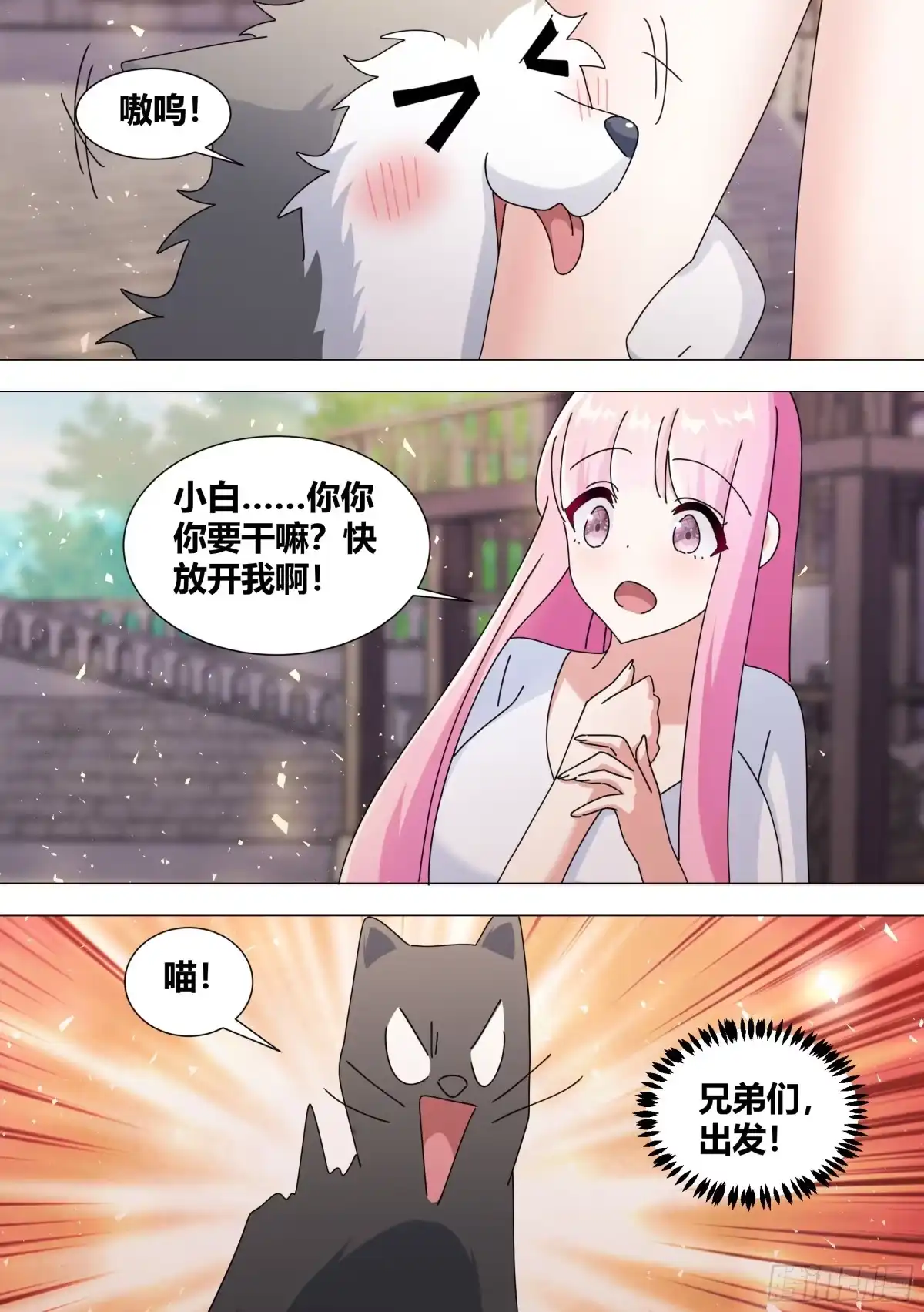 《直播：女神家的哈士奇天秀》386-你们究竟要去干嘛？ 第11页