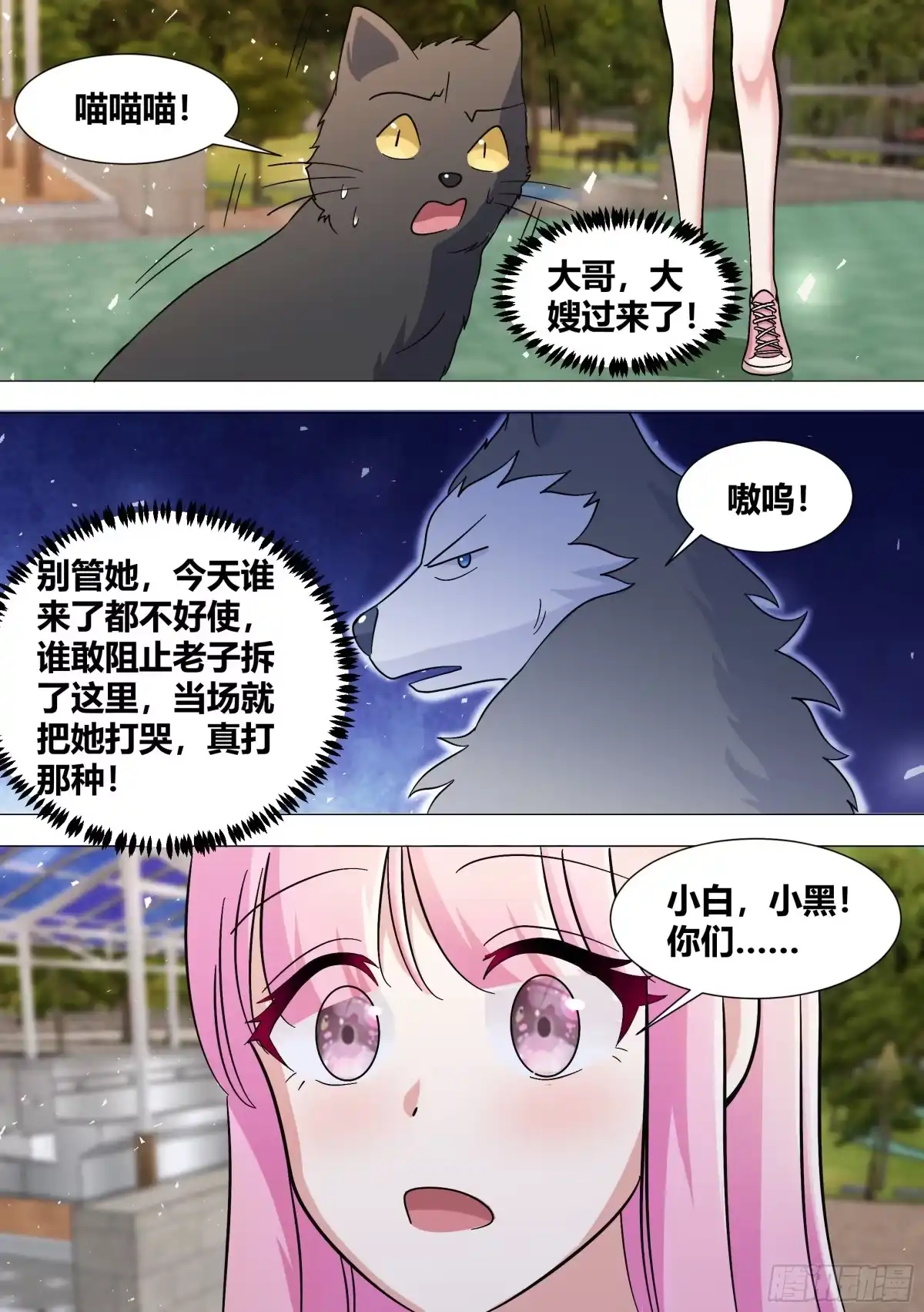《直播：女神家的哈士奇天秀》388-把这个动物园拆了！ 第11页
