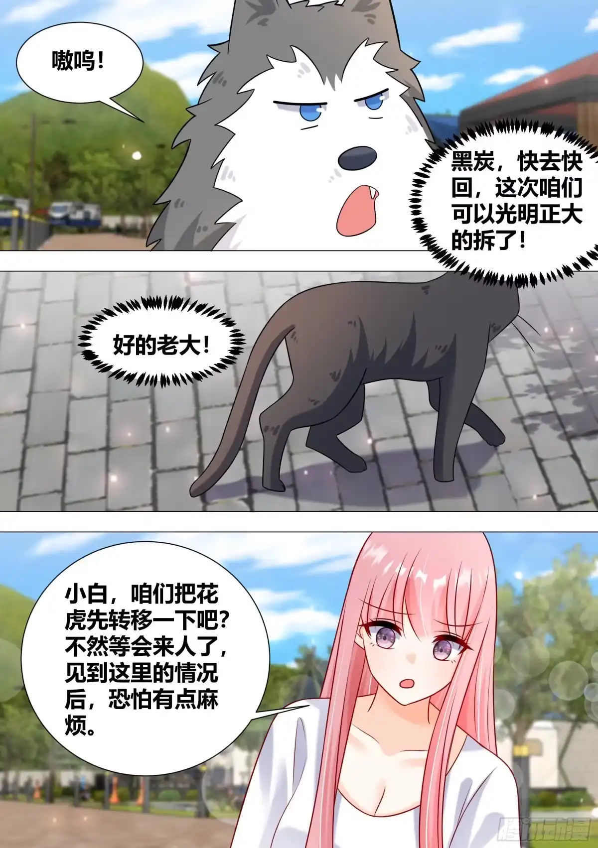 《直播：女神家的哈士奇天秀》389-直接开锤 第3页