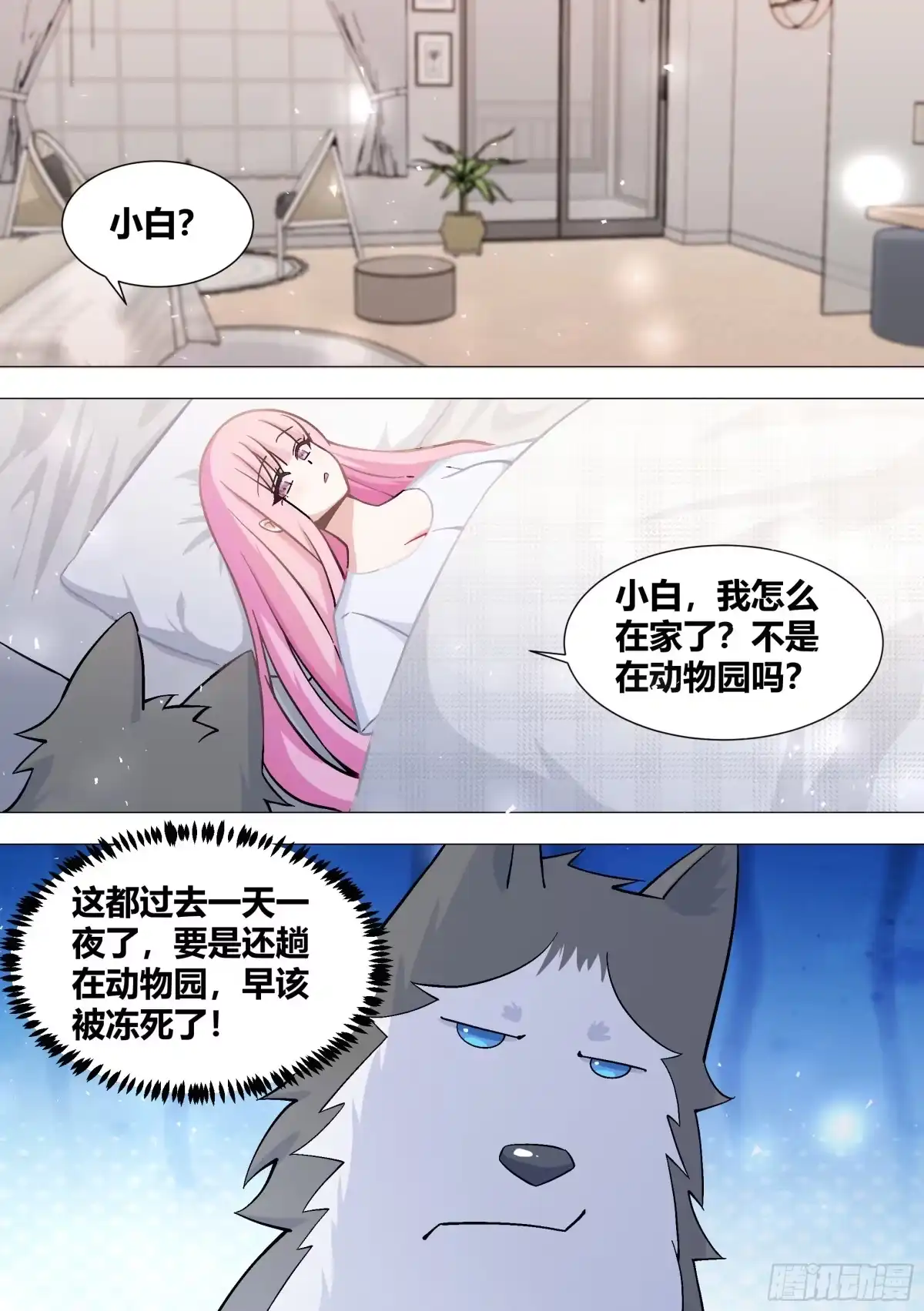 《直播：女神家的哈士奇天秀》392-我可不准备给你们好脸色 第2页
