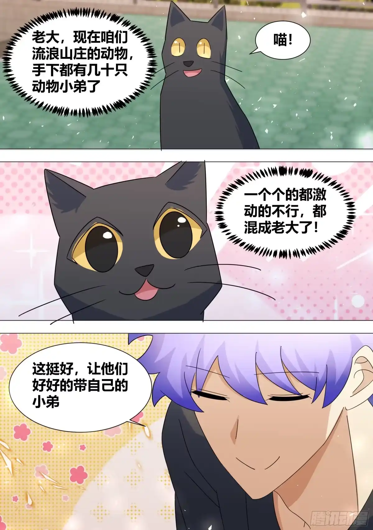 《直播：女神家的哈士奇天秀》396-这算是在坑人家钱吗？ 第3页