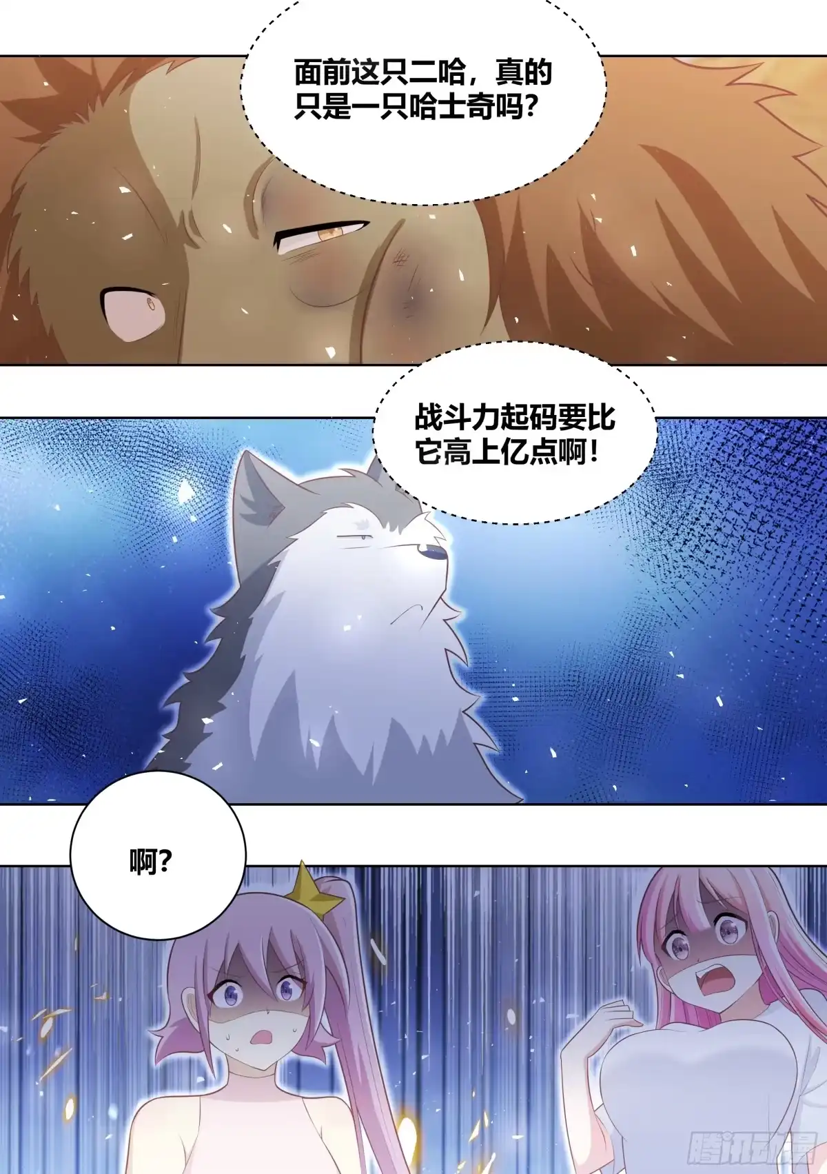 《直播：女神家的哈士奇天秀》424-小白打赢了狮子？？ 第5页