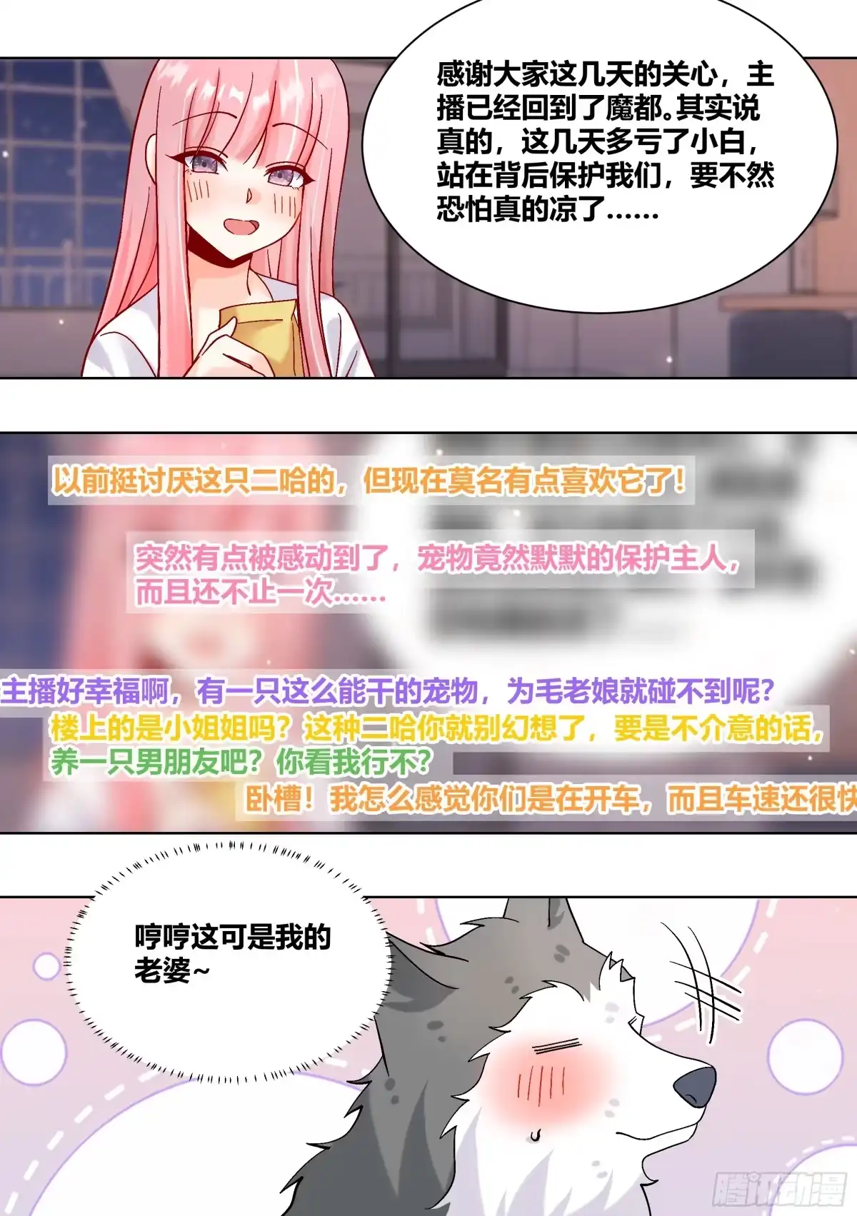 《直播：女神家的哈士奇天秀》434-讨厌啦，小白 第11页