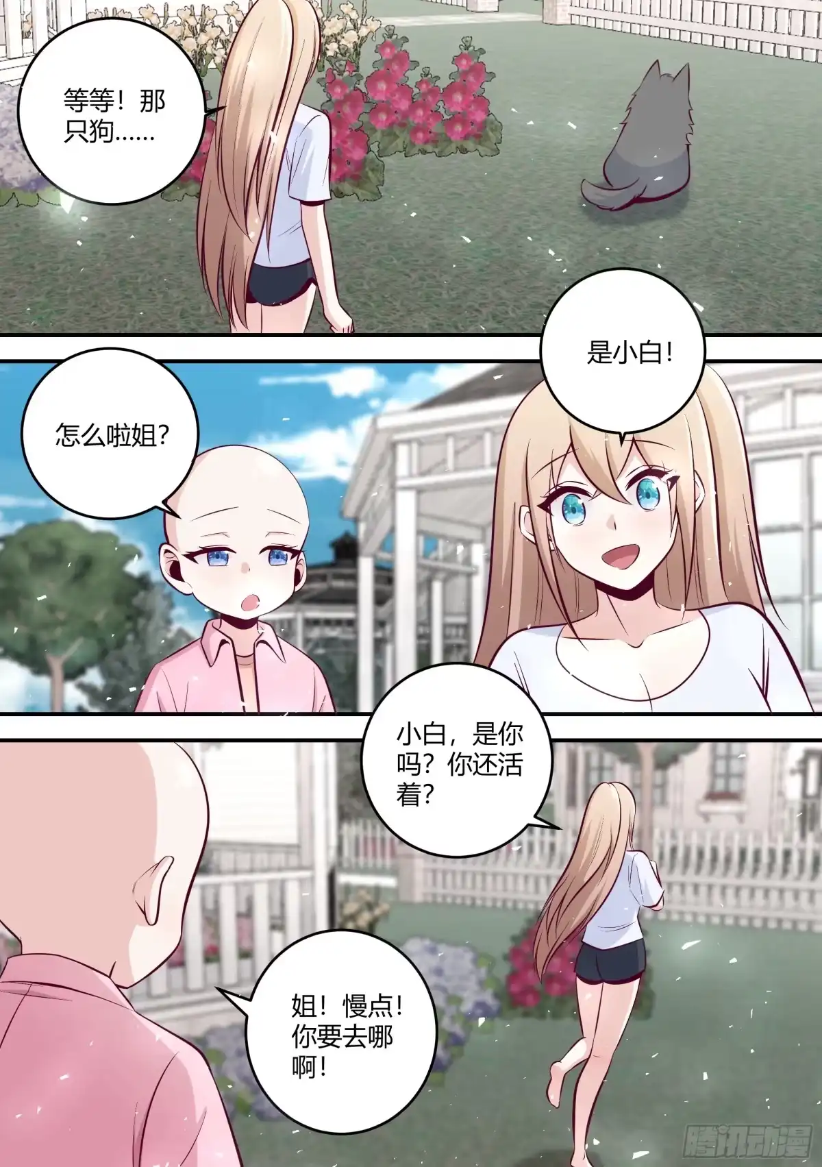 《直播：女神家的哈士奇天秀》454-小白，是你吗？ 第13页
