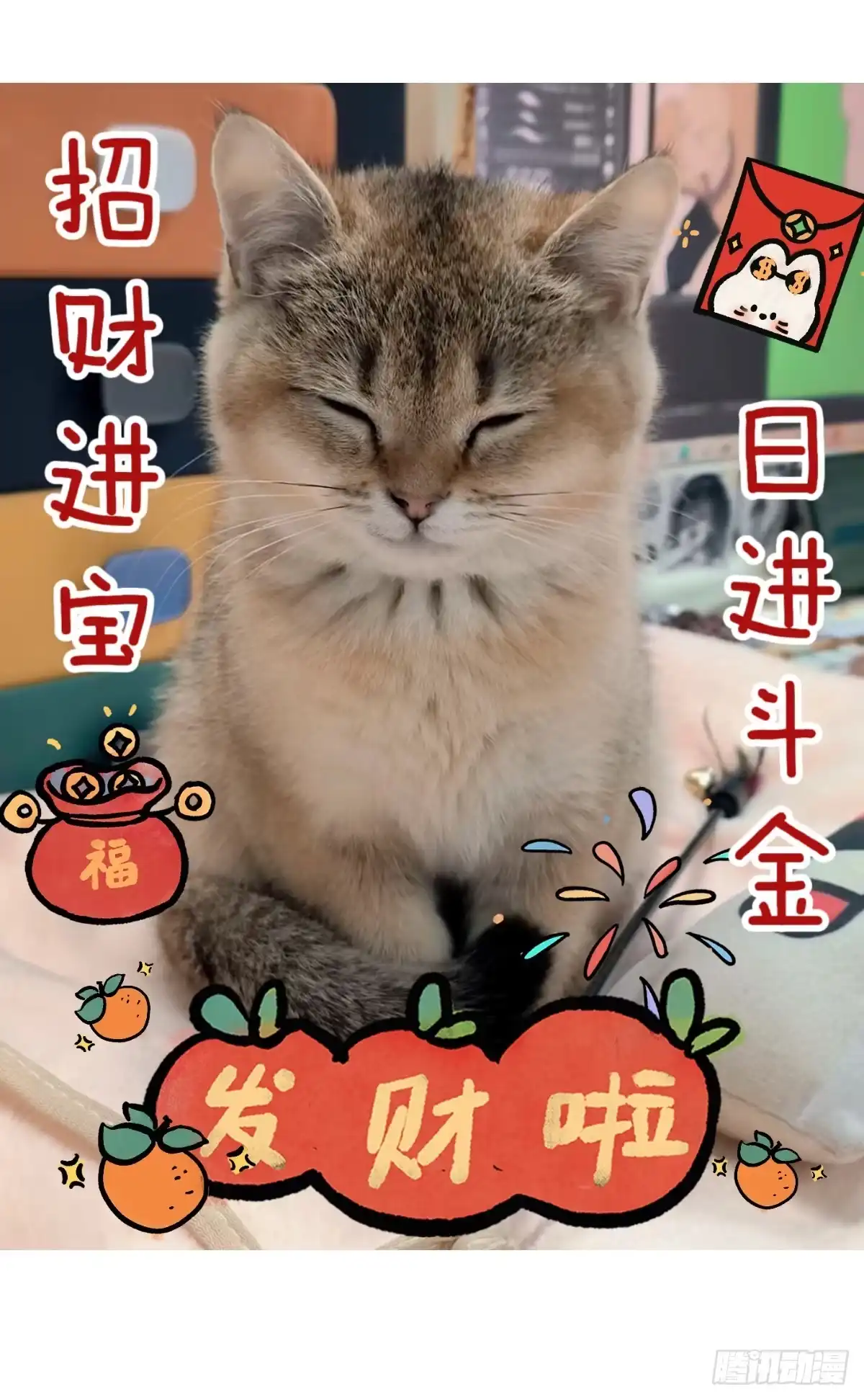 《直播：女神家的哈士奇天秀》454-小白，是你吗？ 第16页