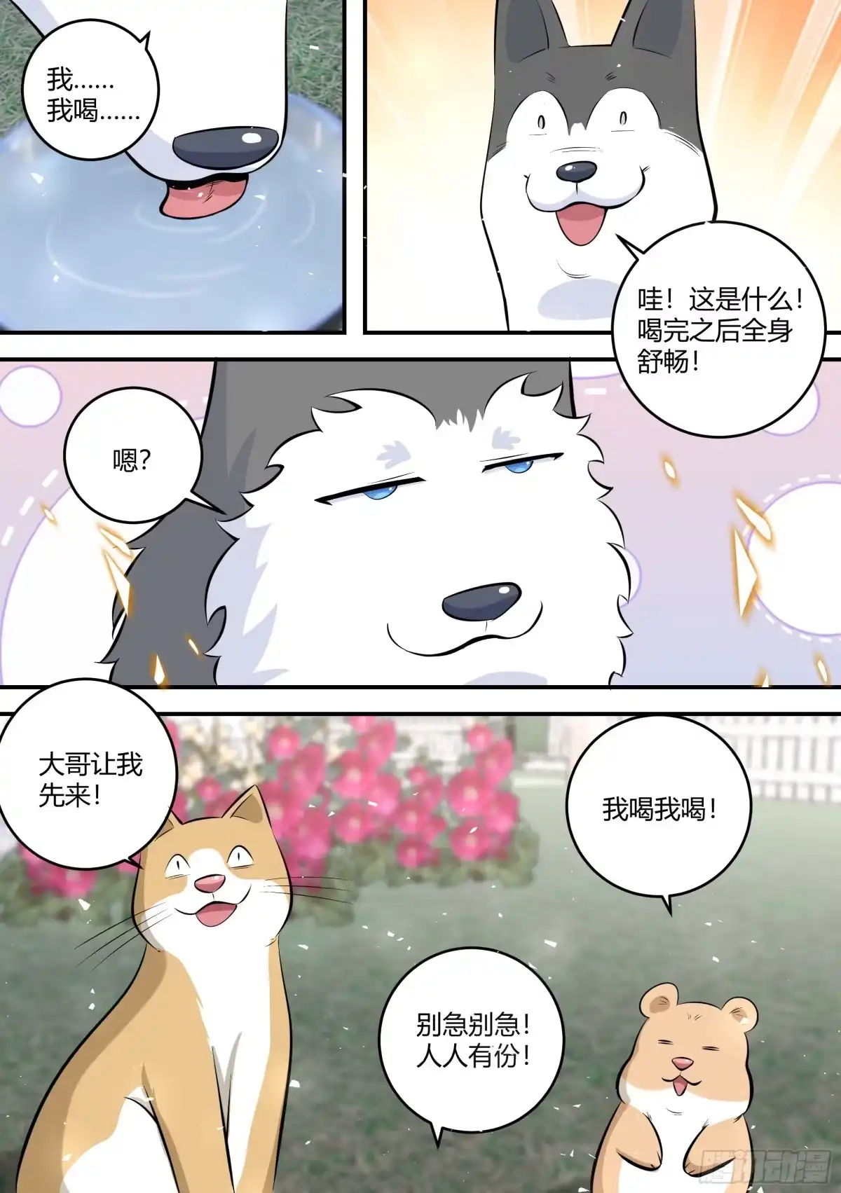 《直播：女神家的哈士奇天秀》454-小白，是你吗？ 第12页