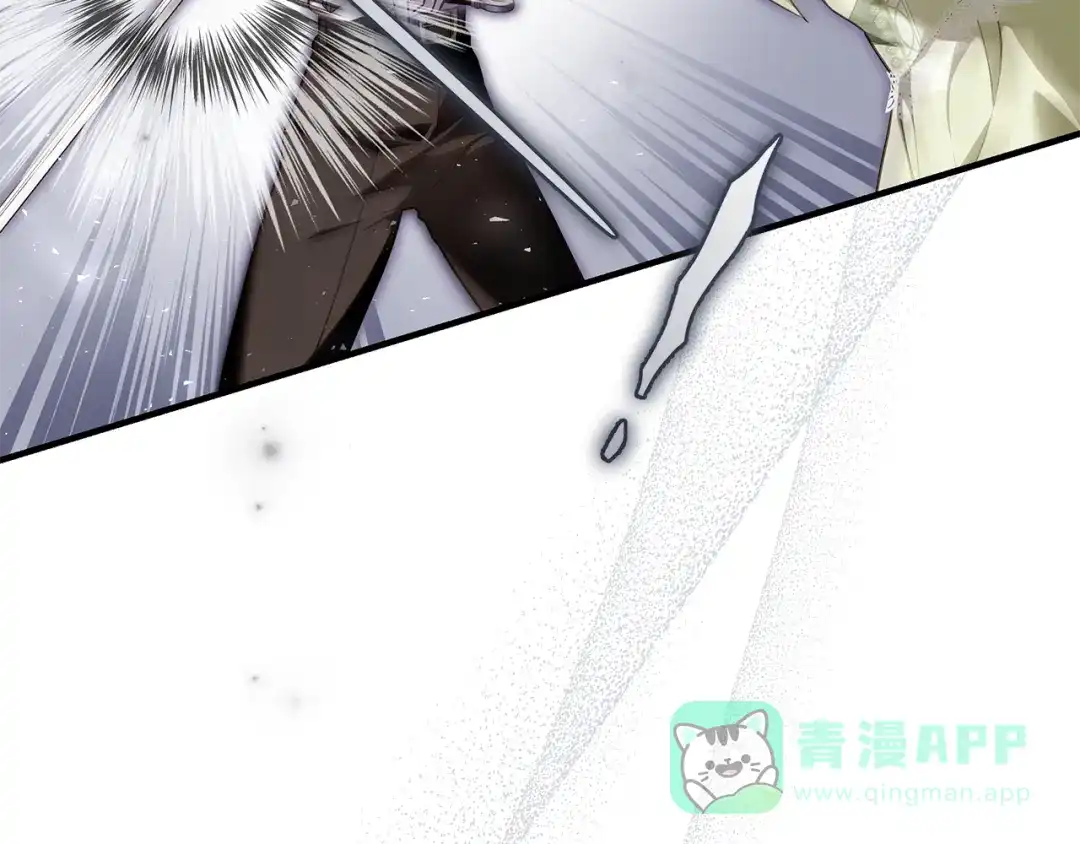 《执剑之花》第13话 解开心结 第166页
