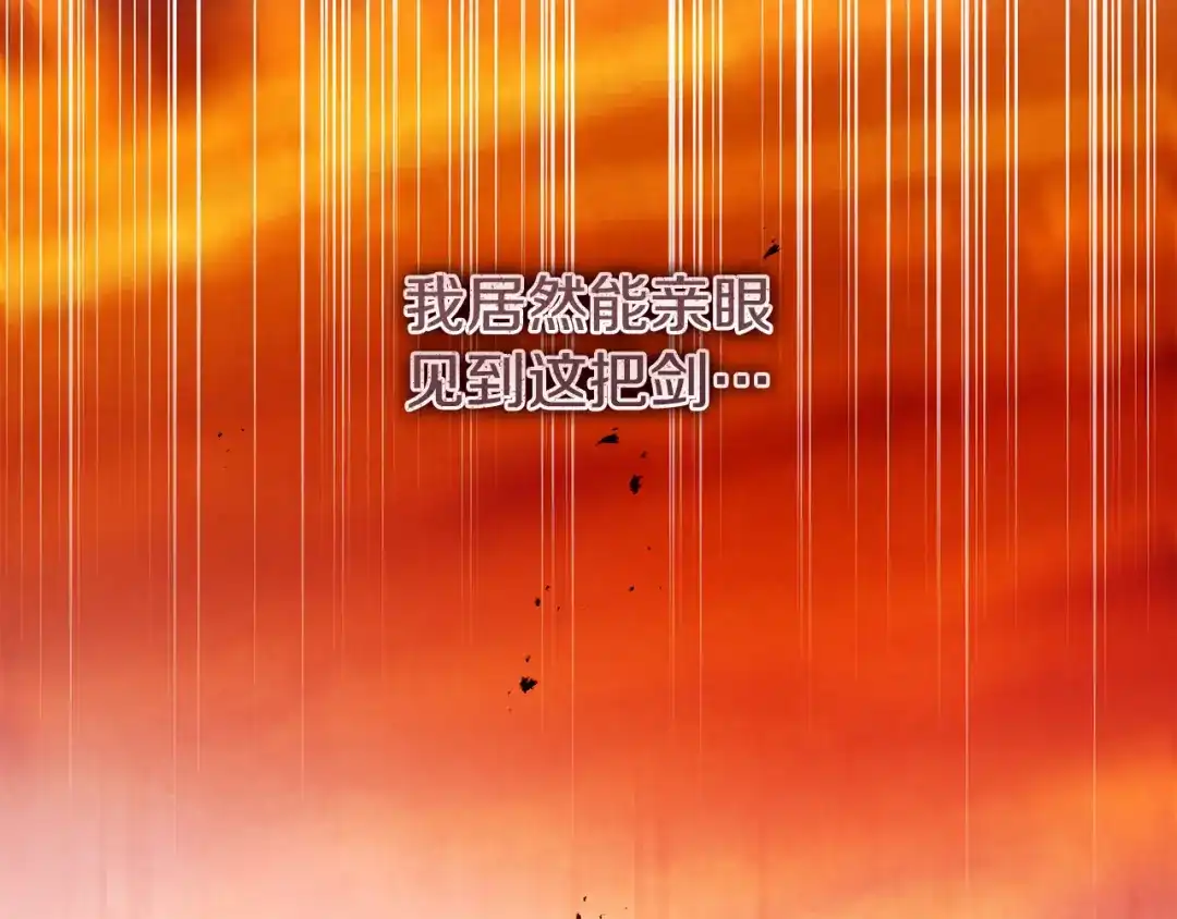 《执剑之花》第26话 我不想杀你 第14页