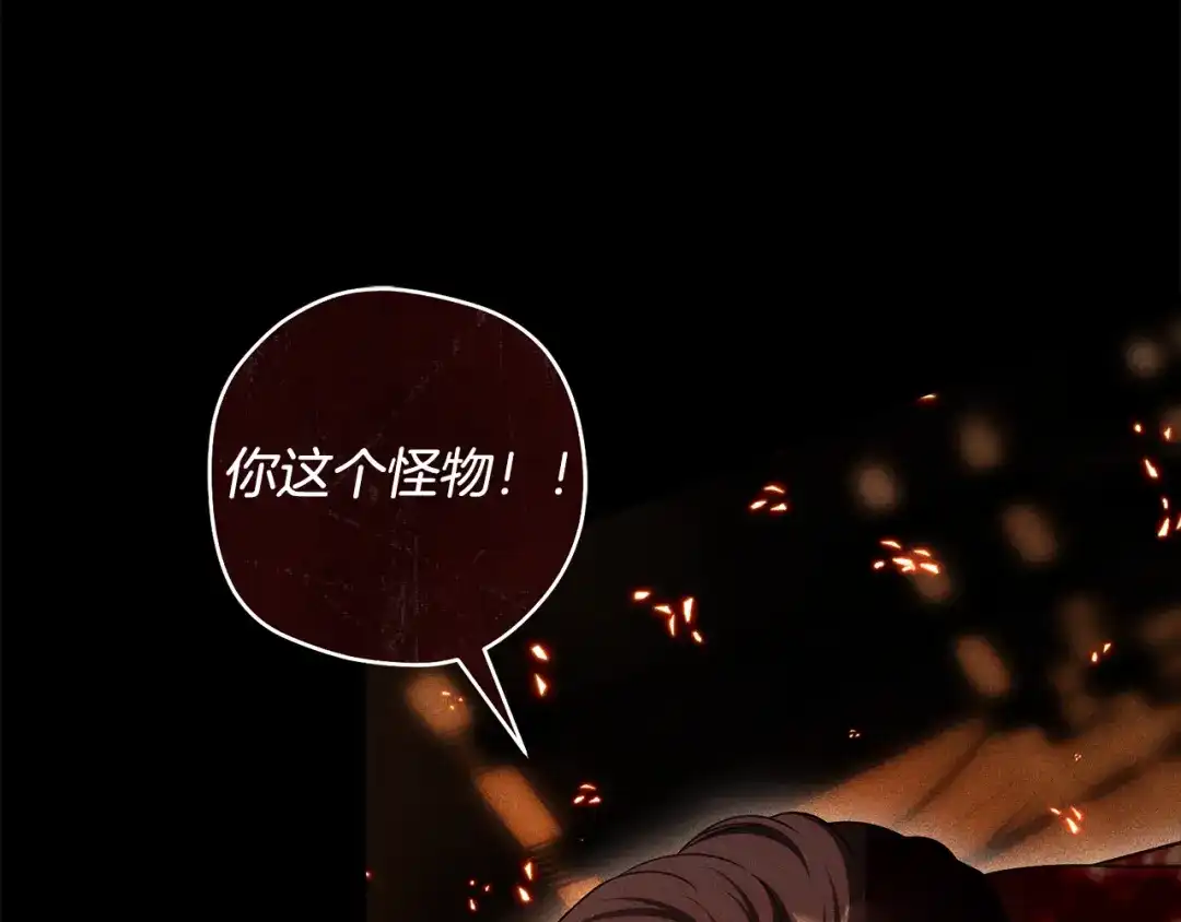 《执剑之花》第34话 无法直面的情感 第13页