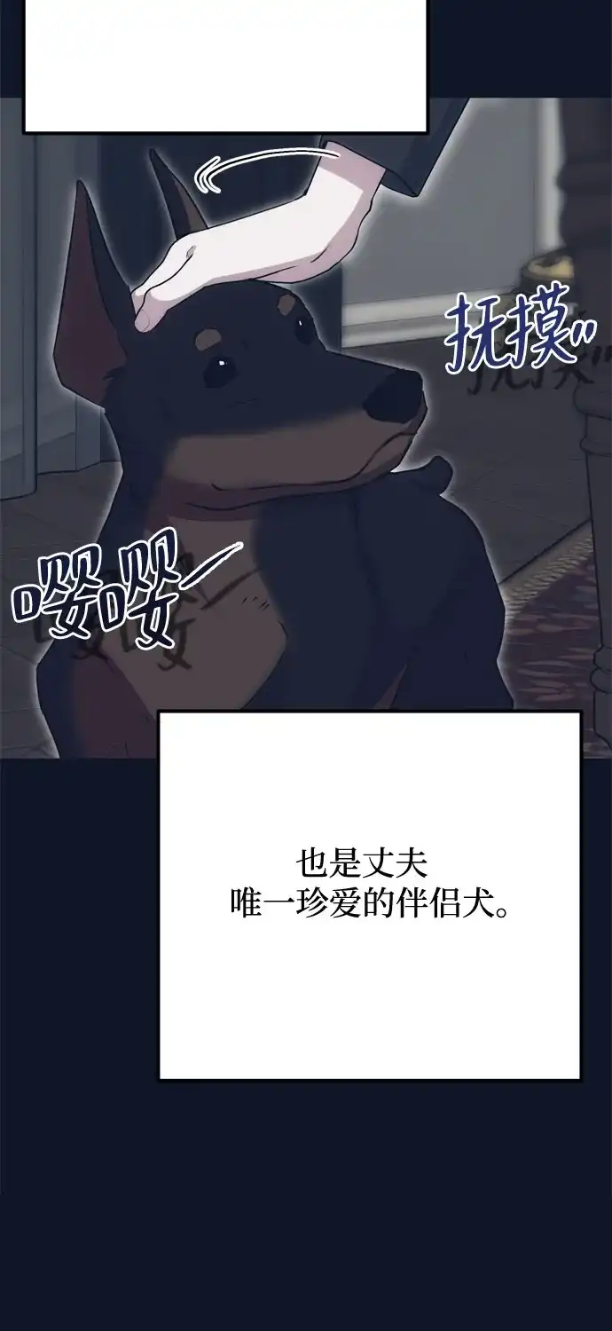 51.jpg