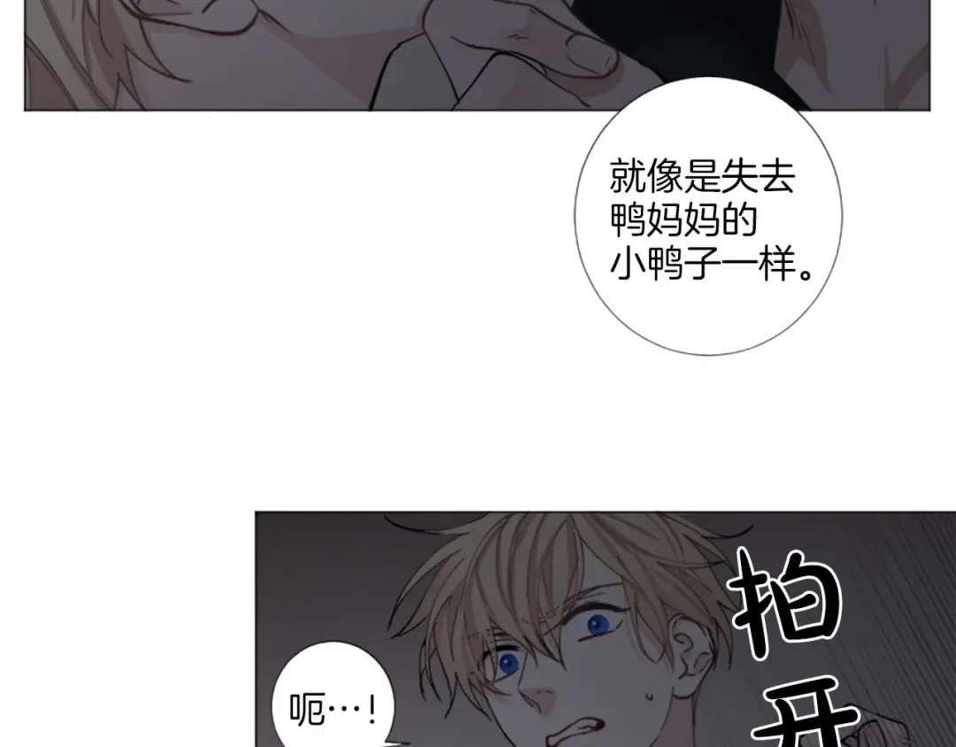 《致命的诱惑》第46话 你只是我的猎物 第29页