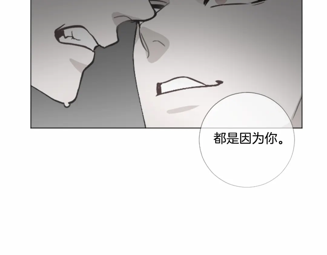 《致命的诱惑》第67话 为你一人演戏 第17页