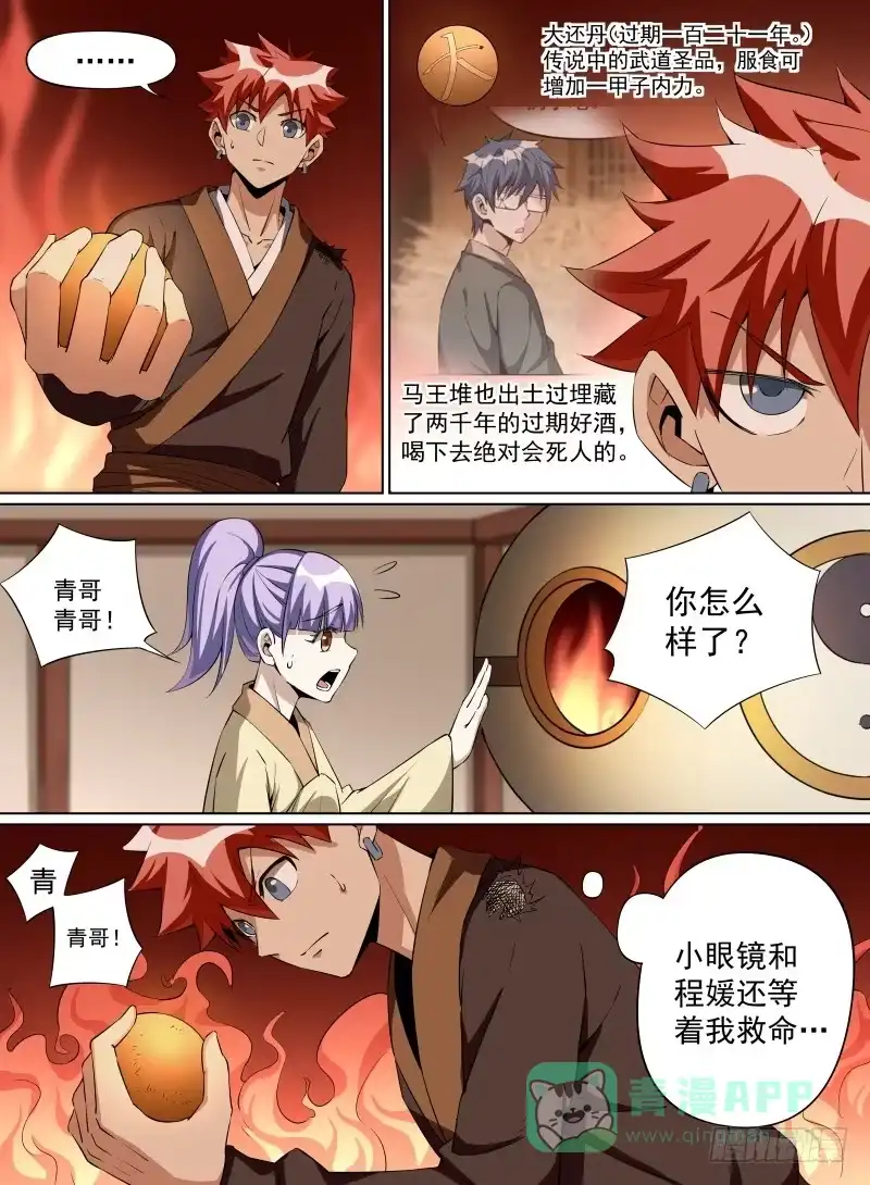 《致命武力》32.大还丹！就决定是你了！ 第6页