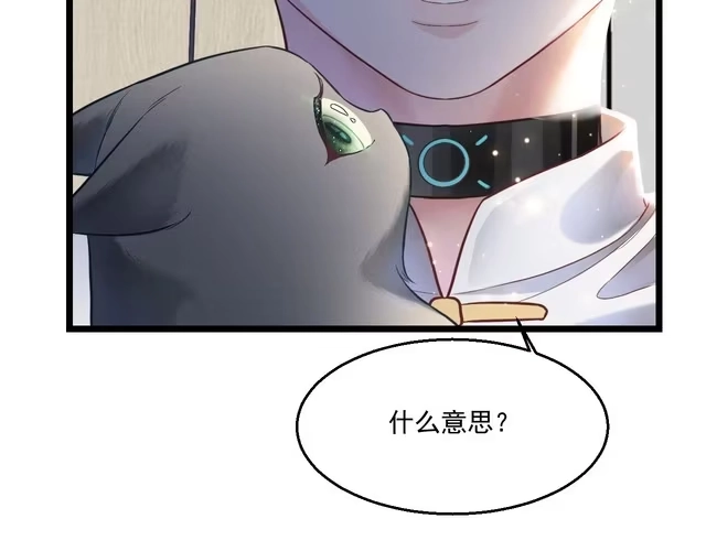 《致命吸引》第9话 目标？明星！ 第72页