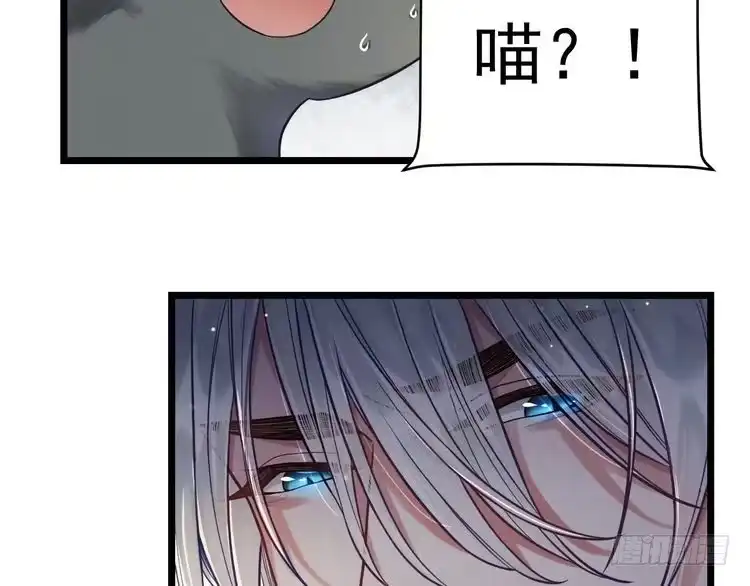 《致命吸引》第9话 目标？明星！ 第88页