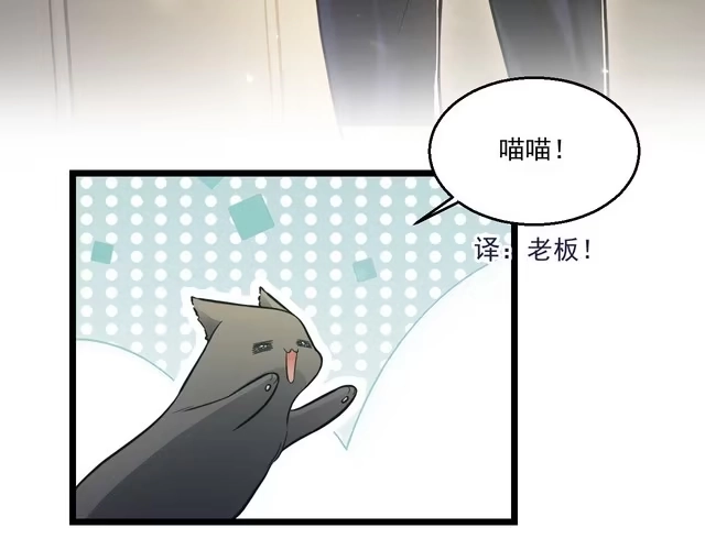 《致命吸引》第9话 目标？明星！ 第62页