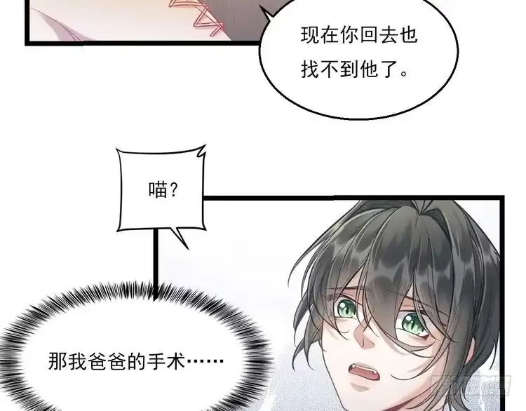 《致命吸引》第9话 目标？明星！ 第31页
