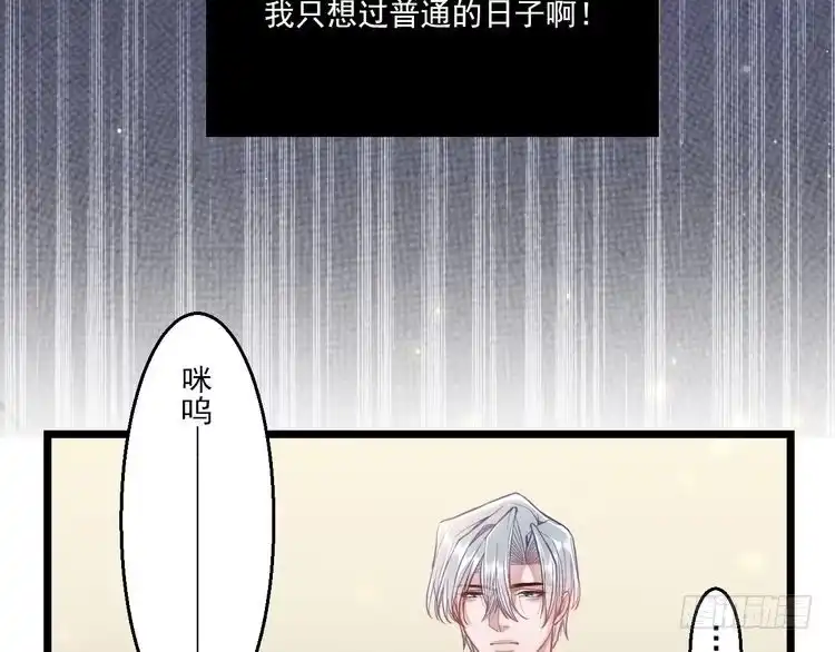《致命吸引》第9话 目标？明星！ 第56页