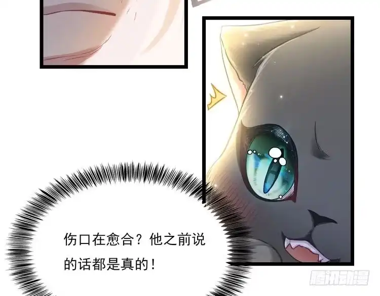 《致命吸引》第9话 目标？明星！ 第8页