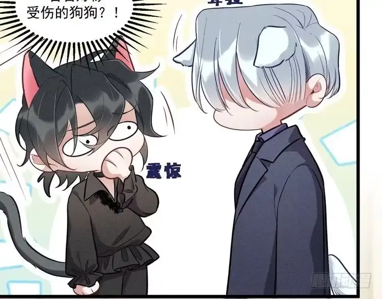 《致命吸引》第28话 沈辰凛被告白？！ 第64页