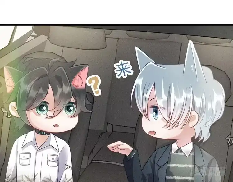 《致命吸引》第48话 分歧 第37页