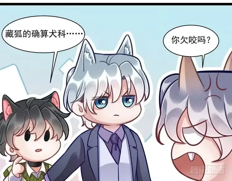 《致命吸引》第70话 圆满的结局 第19页