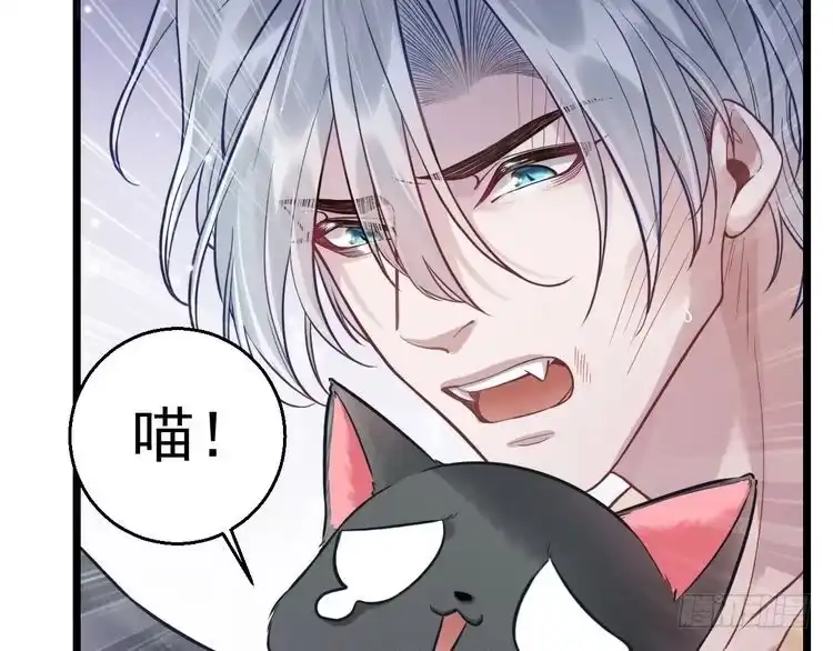 《致命吸引》第8话 唐棠猫猫没有坏心眼 第65页