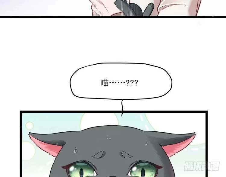 《致命吸引》第8话 唐棠猫猫没有坏心眼 第59页