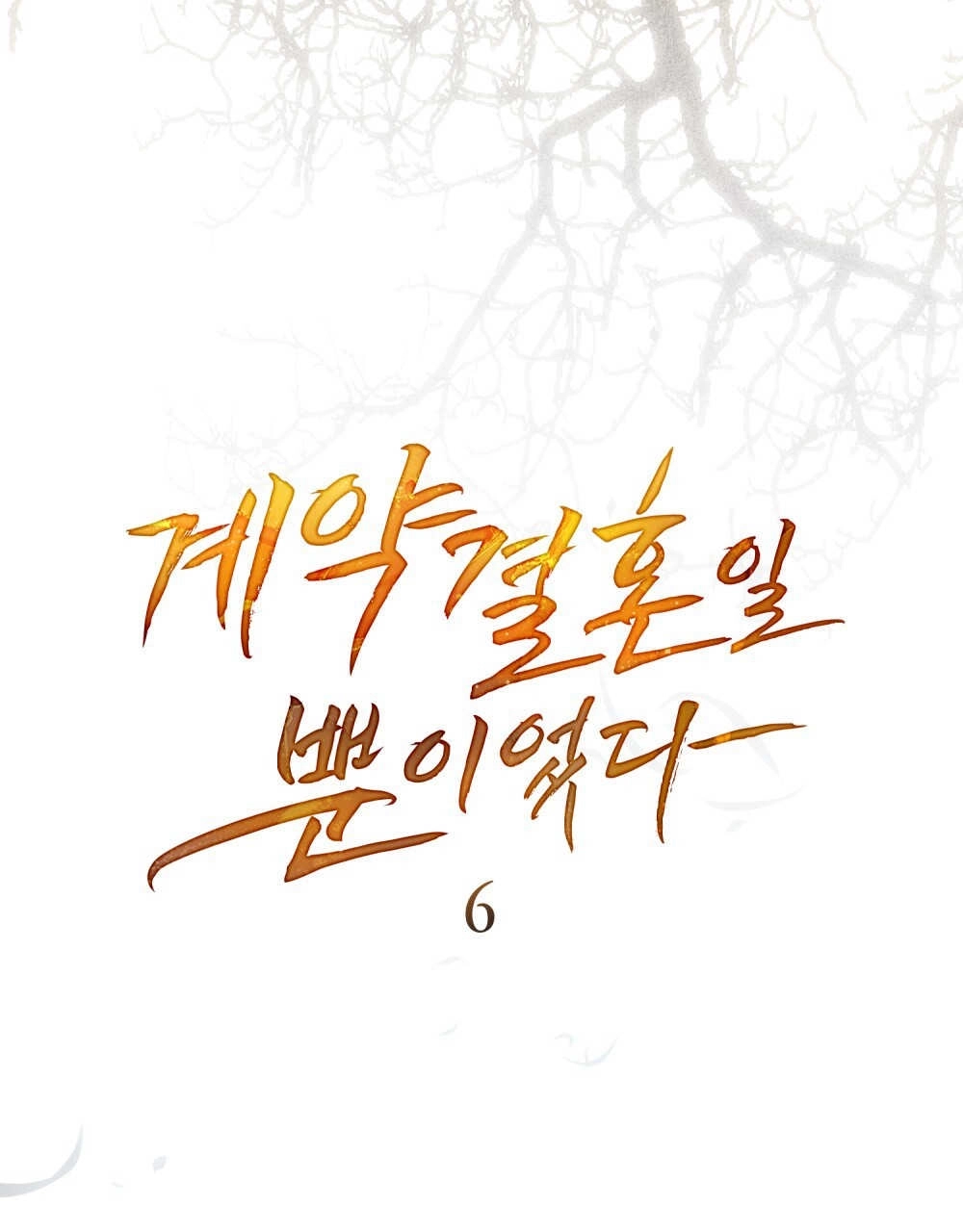 《只是契约婚姻而已》第06话 第10页