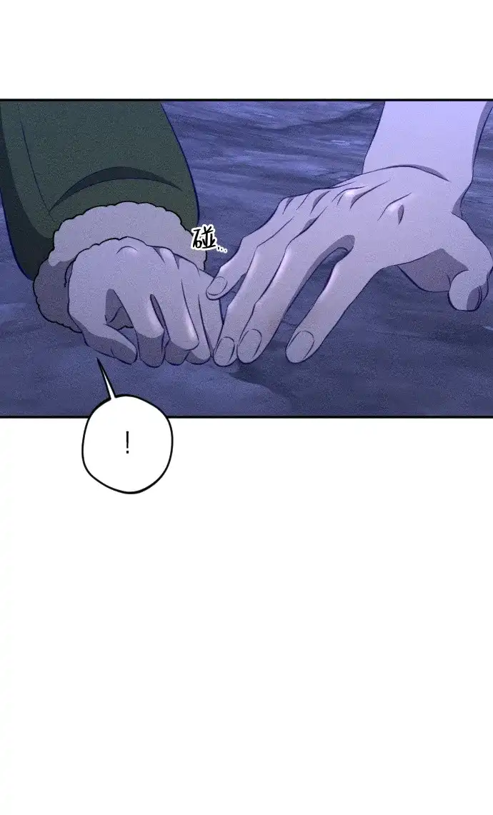 47.jpg