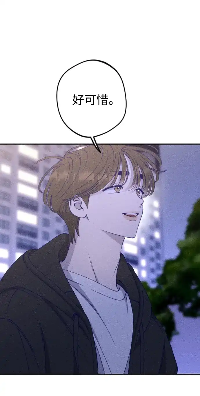 51.jpg