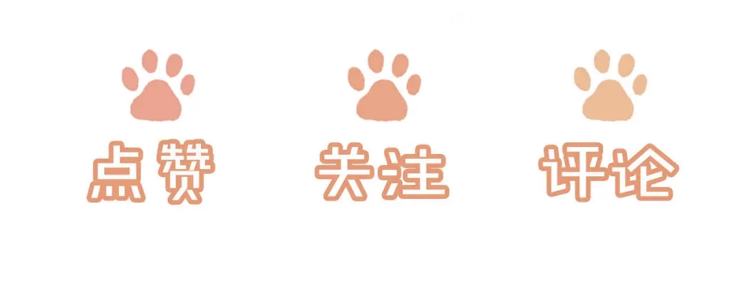 植物人大佬装不下去了 第32话 拍摄婚纱 第152页