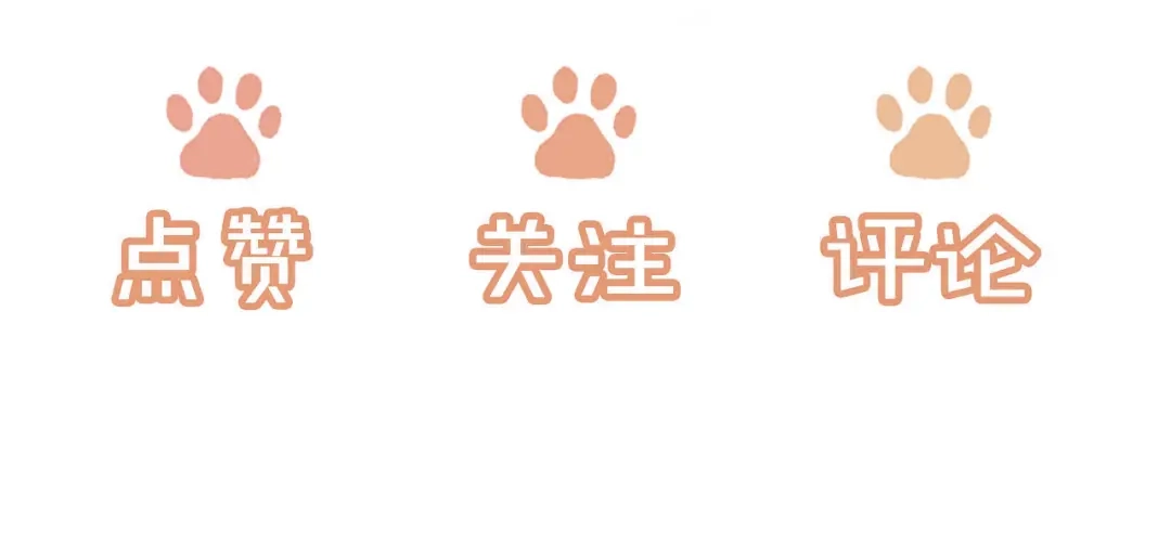 《植物人大佬装不下去了》第4话 我能治好你的腿！ 第137页