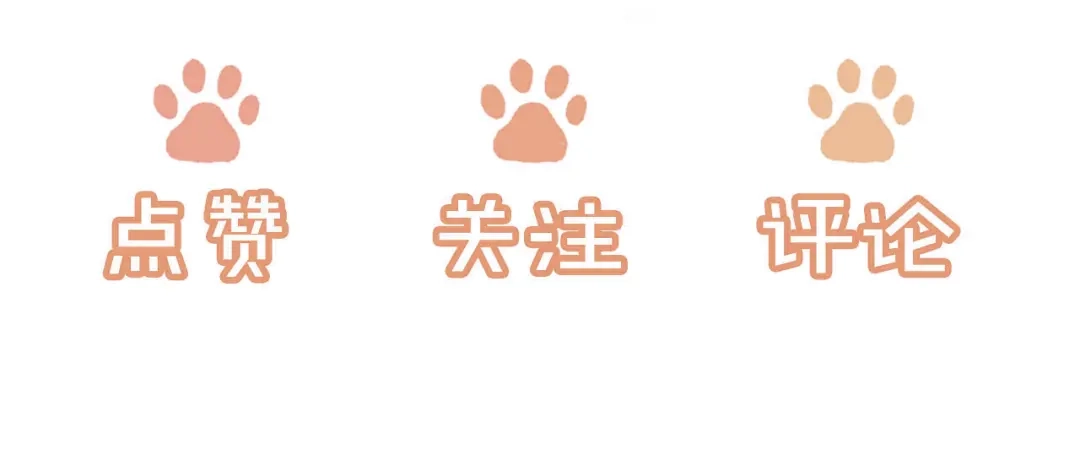 植物人大佬装不下去了 第47话 遇到你是我的幸运 第112页