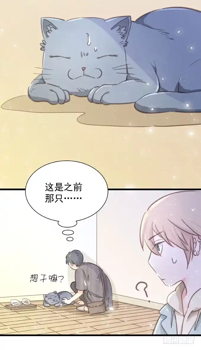 《只想触碰你》第四十一话 去你家吧 第17页