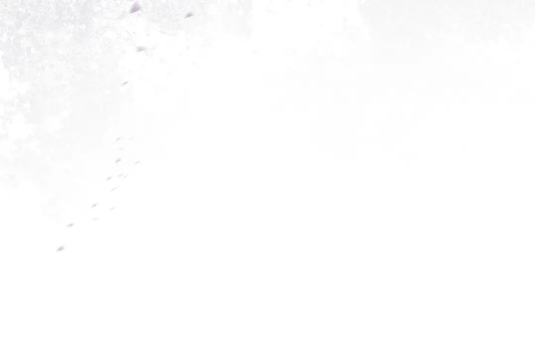 《只想在反派爸爸身边躺平》第54话 生日祝福 第151页