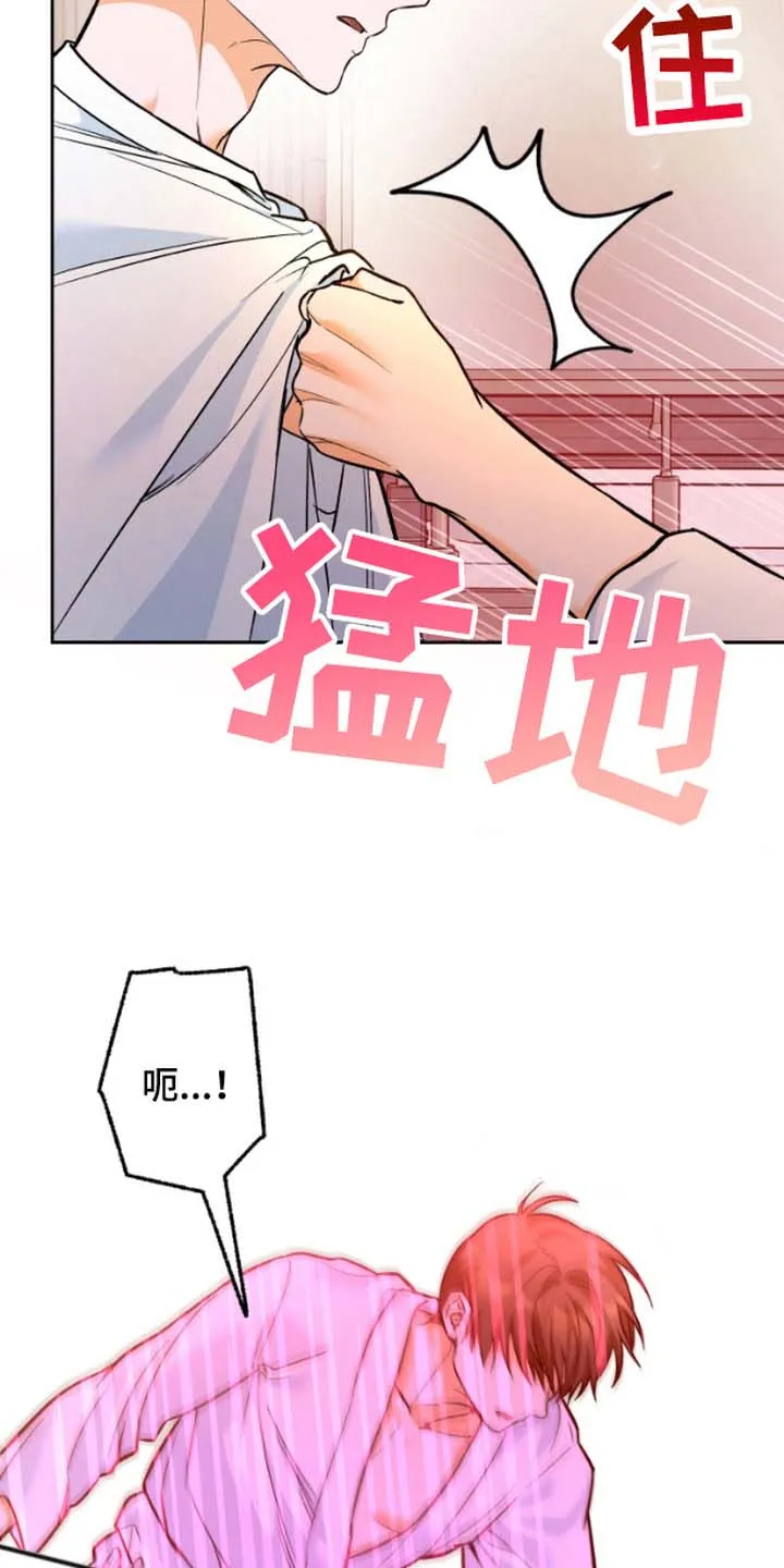 《职业开发人员》第4话 第20页