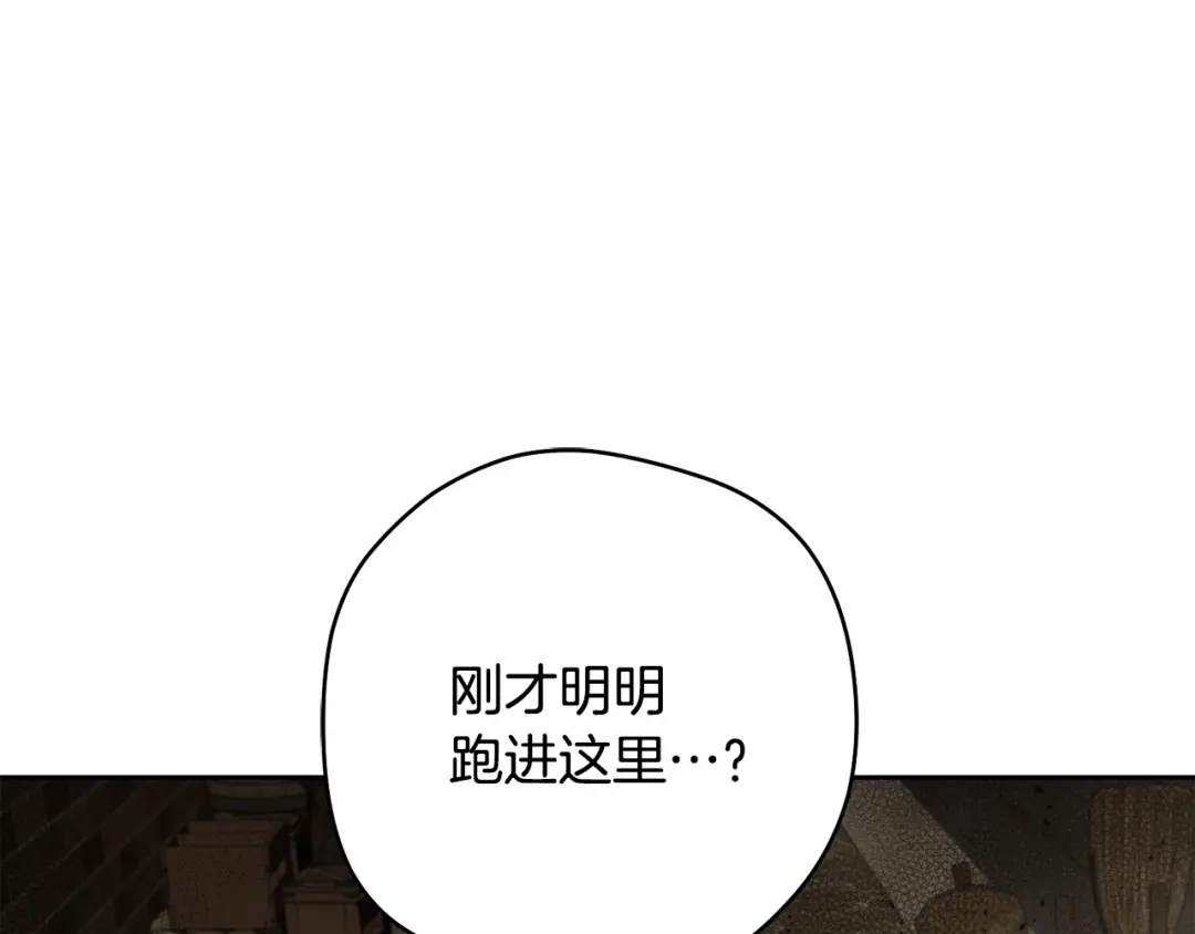 113.jpg
