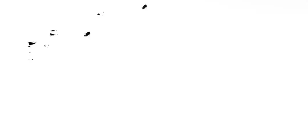 115.jpg