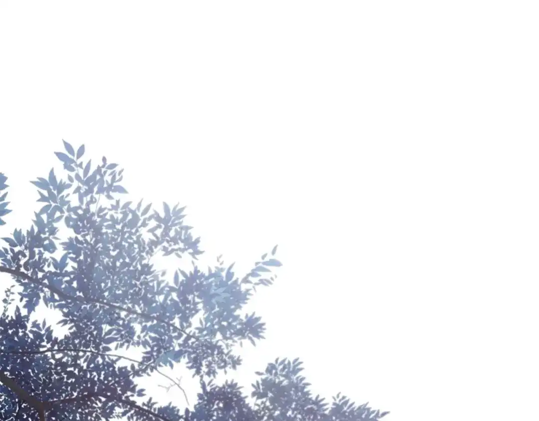 170.jpg