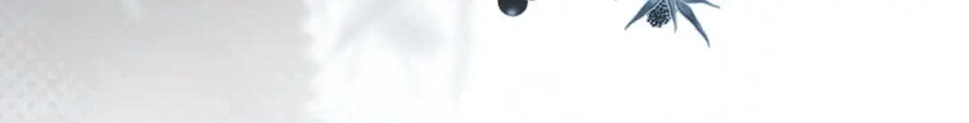 135.jpg