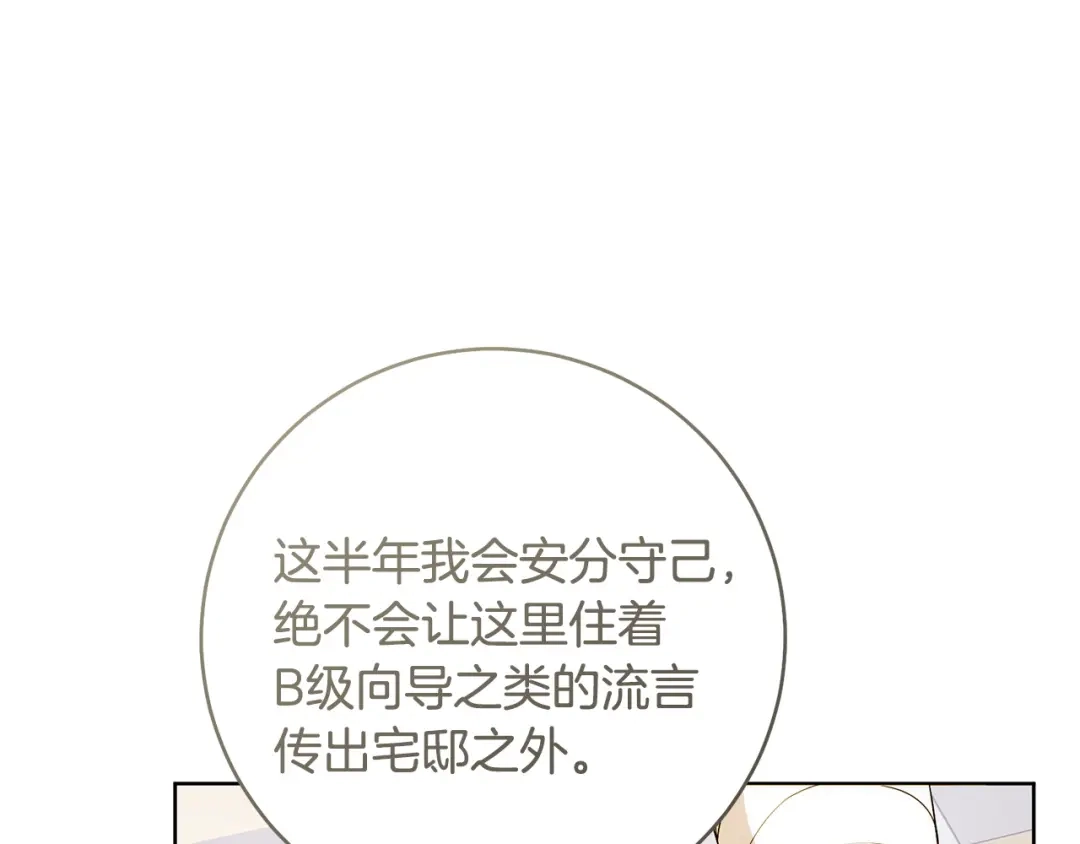 213.jpg